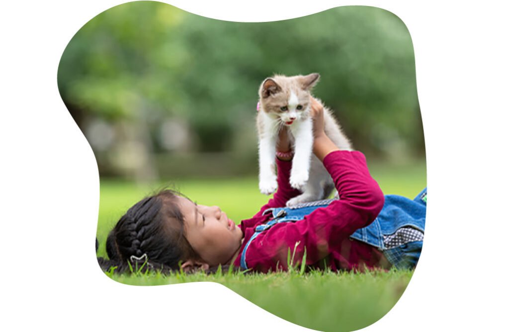 Lovely cat getting cuddled | Best Cat Care Tips