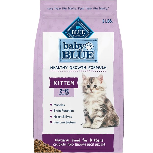 Blue Buffalo Baby Blue Natural Dry Food for Kittens with DHA – healthy growth for nursing cats | How to take care of a kitty