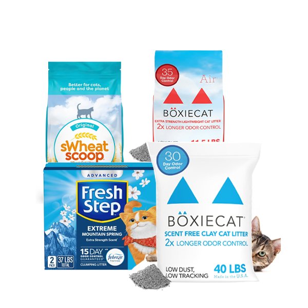 clumping cat litter with odor control – best for training kittens to use litter box