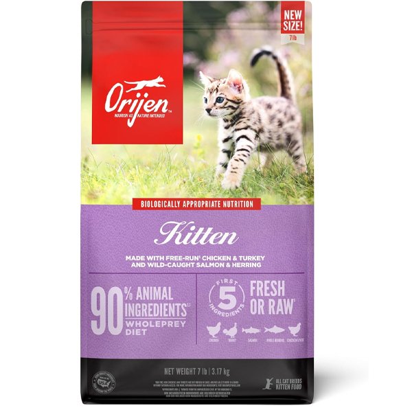 ORIJEN Grain Free High Protein Kitten Recipe – suitable for nursing cats |How to take care of a kitty