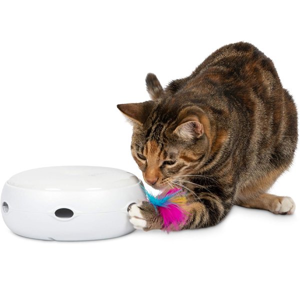 PetFusion Ambush automatic interactive cat toy for indoor and outdoor play