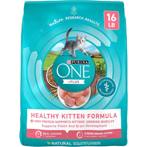 Purina ONE High Protein Natural Dry Kitten Food – growth & energy support for nursing cats |How to take care of a kitty
