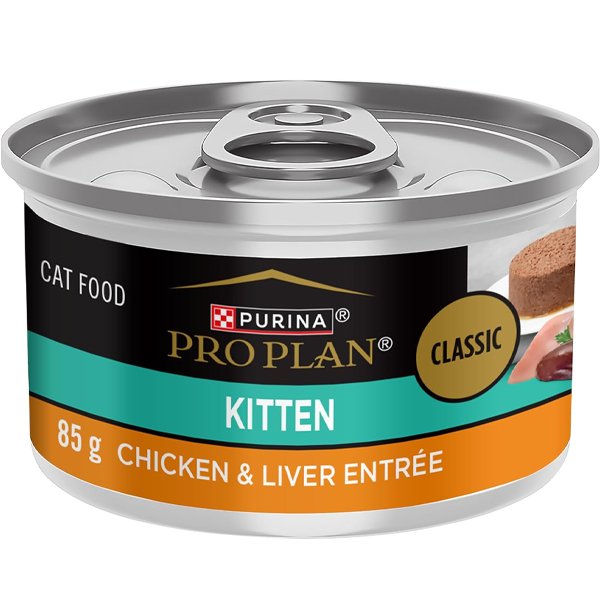 How to take care of a kitty – Purina Pro Plan Kitten Classic Chicken and Liver wet food