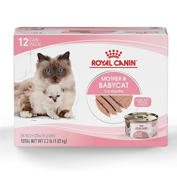 Best cat food for nursing cat – Royal Canin Mother and Babycat Ultra Soft Mousse wet food