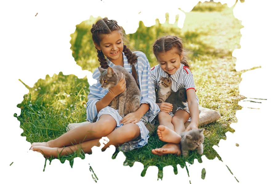 Two young girls are playing with kittens