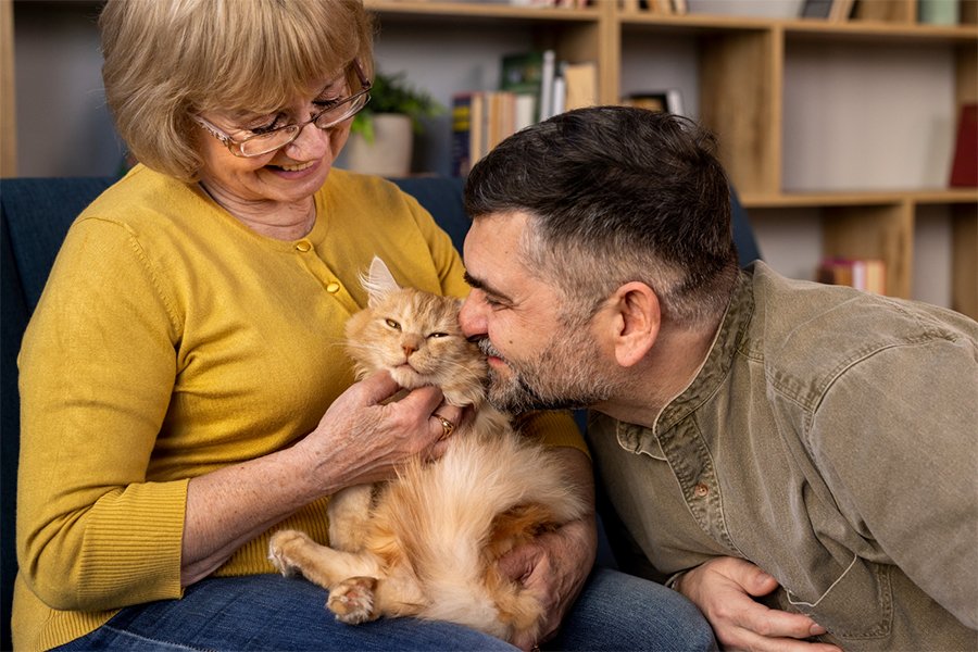 people with a pet cat